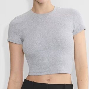 Aritzia HomeStretch Rib Crew Waist T-Shirt in Heather Chrome in size small